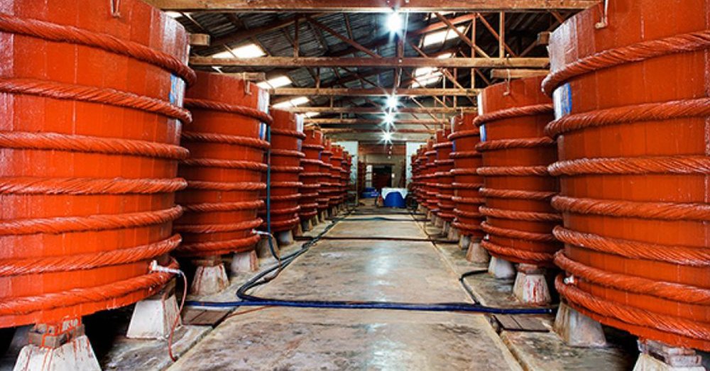 lich-trinh-du-lich-phu-quoc-tu-ha-noi-4-ngay-3-dem