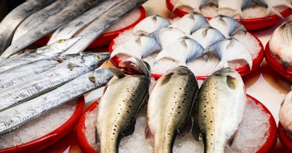 di-phu-quoc-tu-ha-noi-4-ngay-3-dem