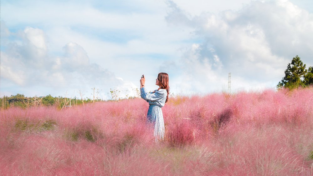 jeju hueree park island autumn spot 2022 korea