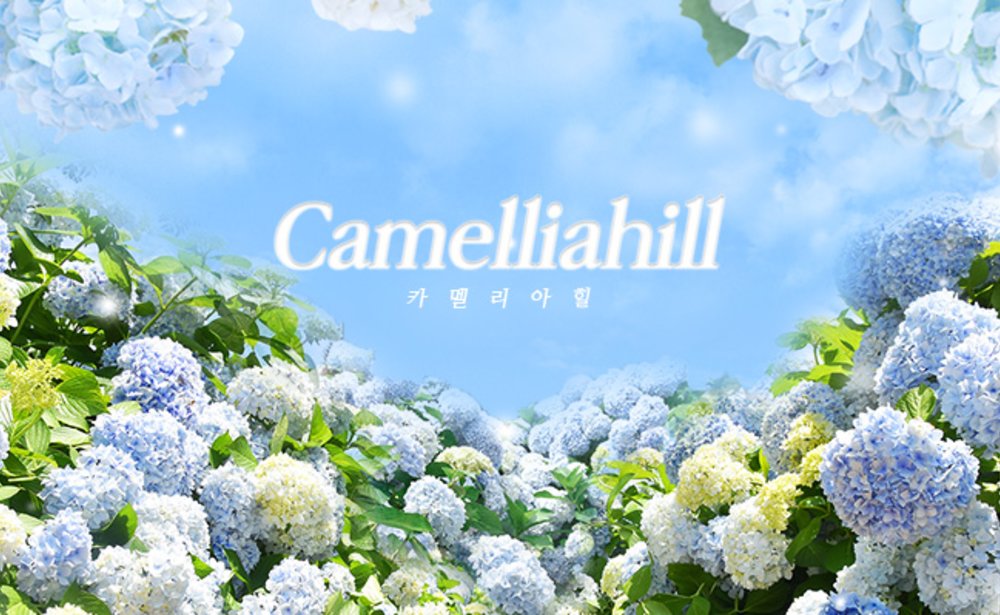camellia hill island autumn spot 2022 korea