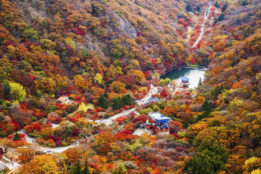 Naejangsan National Park busan autumn 2022