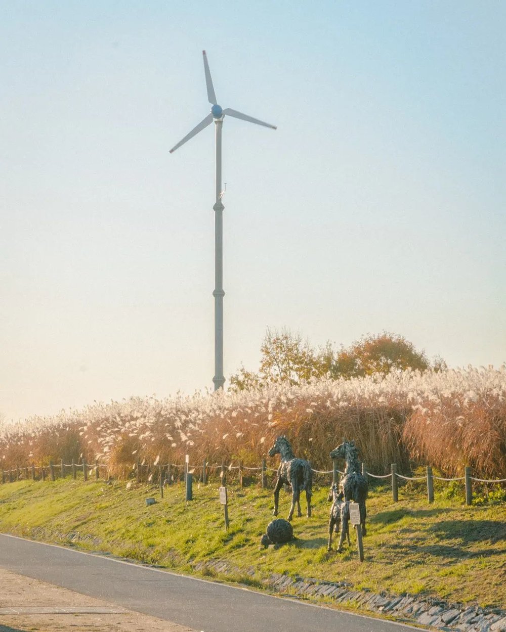 haneul park seoul autumn spot 2022