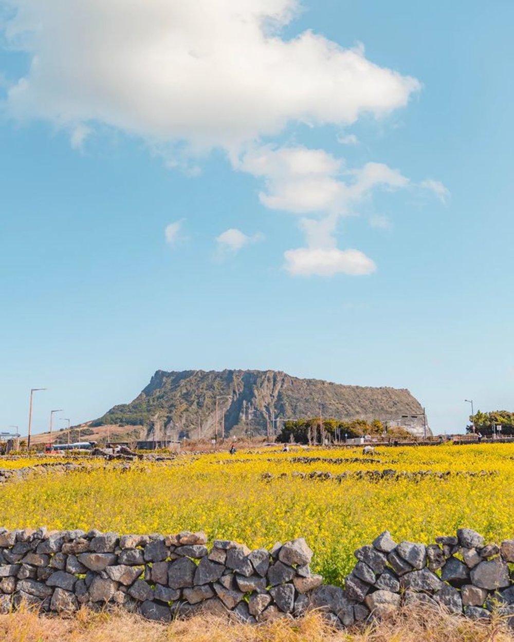 seongsan ilchulbong jeju island autumn spot 2022 korea