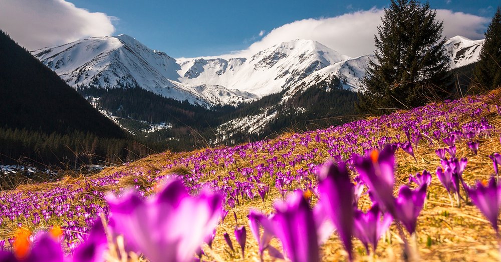Du Lịch Ba Lan Mùa Nào Đẹp Nhất? 