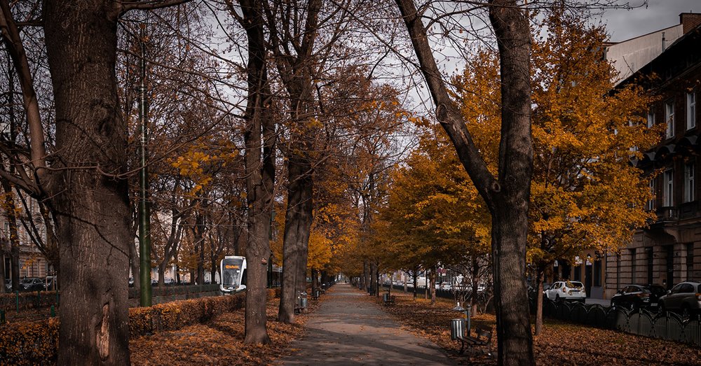 Phương tiện di chuyển khi đi du lịch Ba Lan tự túc