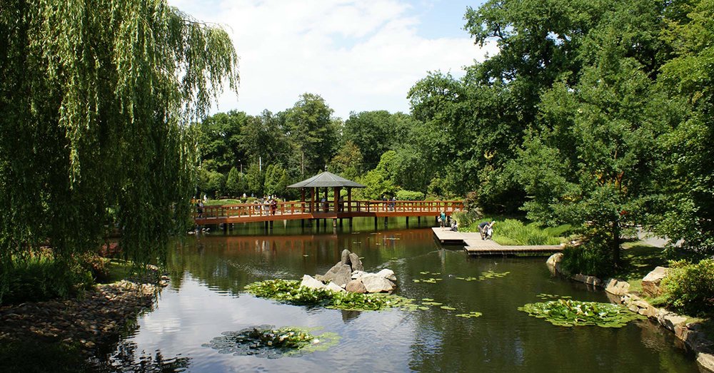 Vườn Nhật Bản Wrocław's Japanese Garden