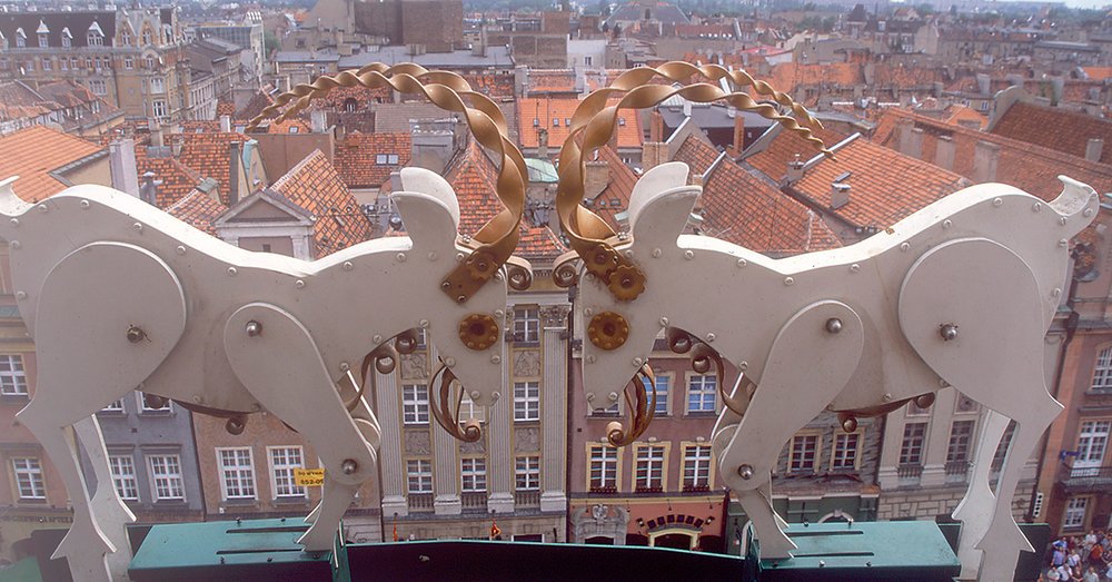 Tháp đồng hồ Poznań Goats