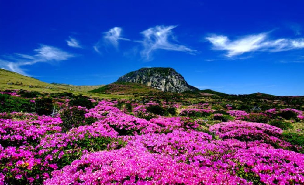 hallasan national park jeju island autumn spot 2022 korea