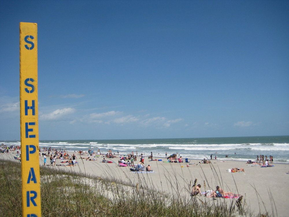 People lying on mats on the beach