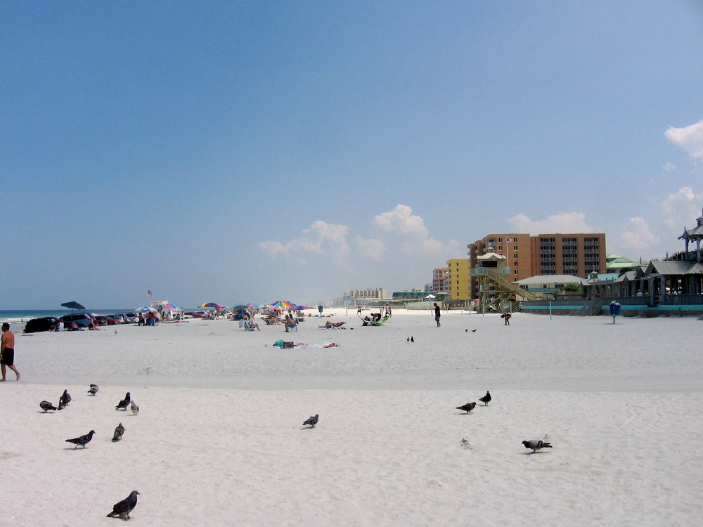 People and birds on the beach
