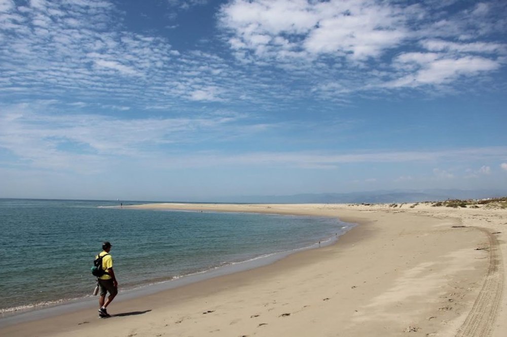 Man with a backpack walking on the shore