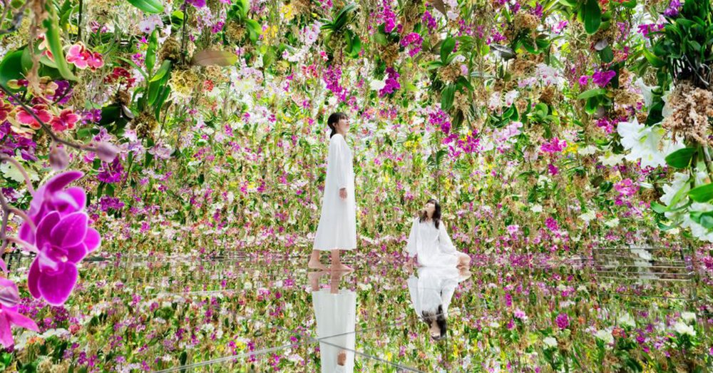 TeamLab Planets Toyosu Tokyo