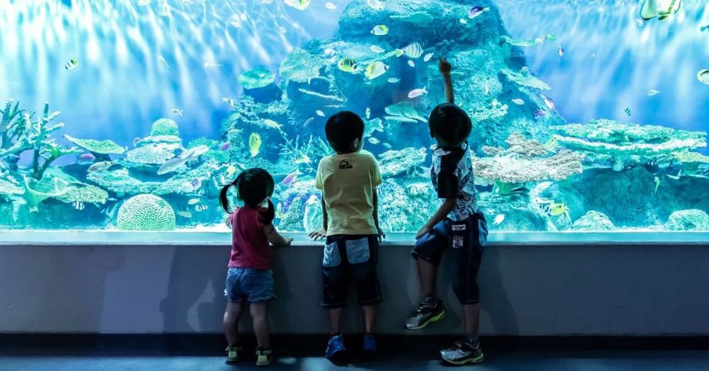 Công Viên Nước Shinagawa