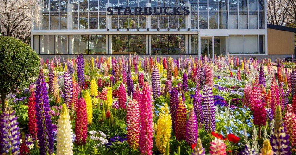 Công Viên Hoa "HANA·BIYORI"