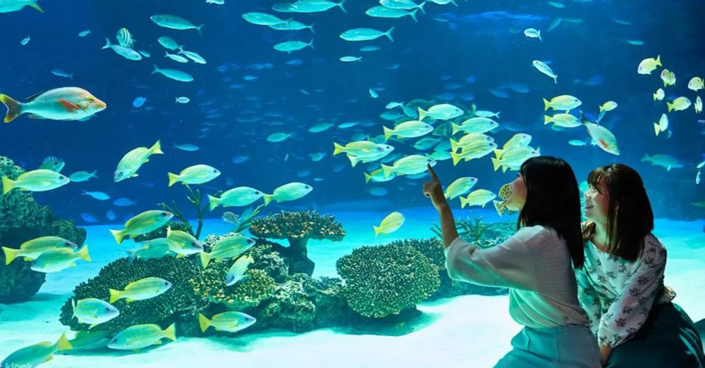 Thủy Cung Sunshine