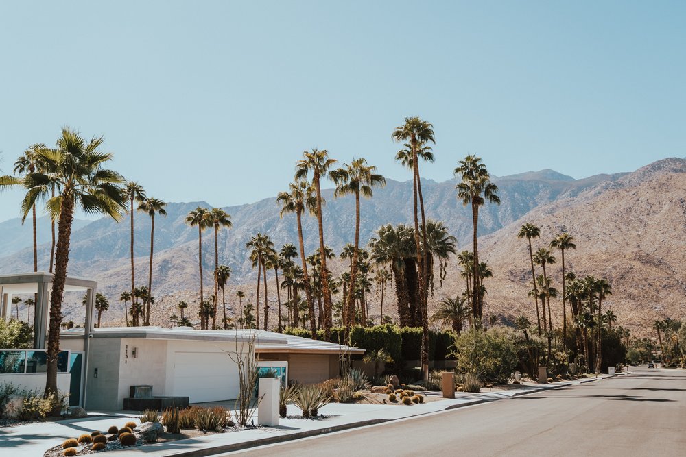 House and trees on the side of the road at Palm Springs