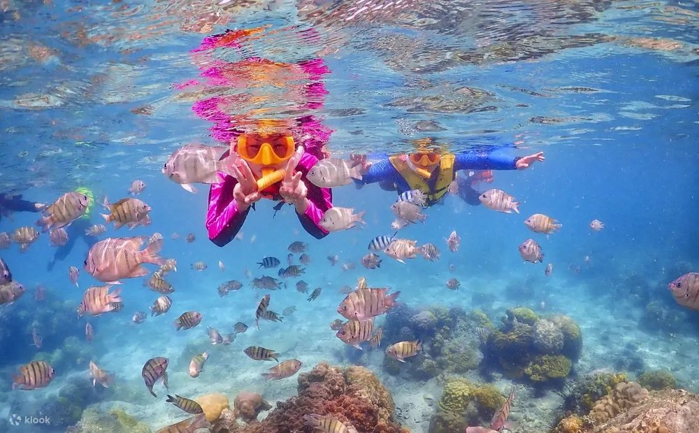 ถ่ายรูปสวยๆ ท่ามกลางหมู่ปะการังและน้องปลาสีสันสดใส 