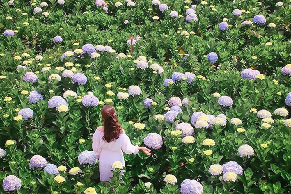 best vietnam city travel da lat dalat from malaysia