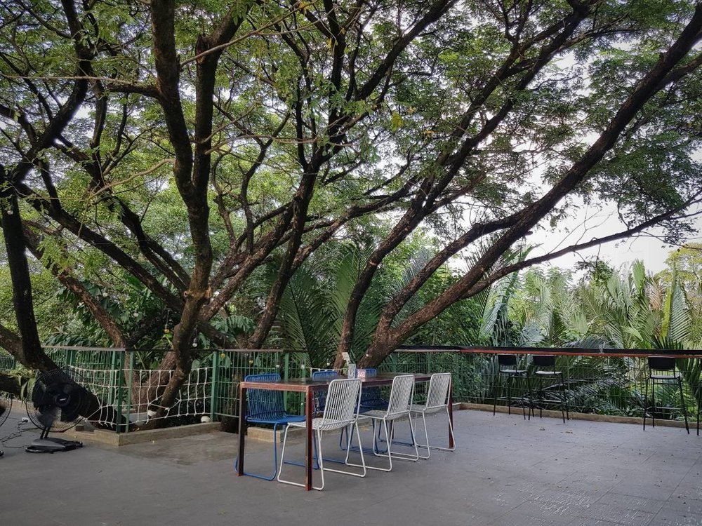 Hiddenwoods บางกระเจ้า