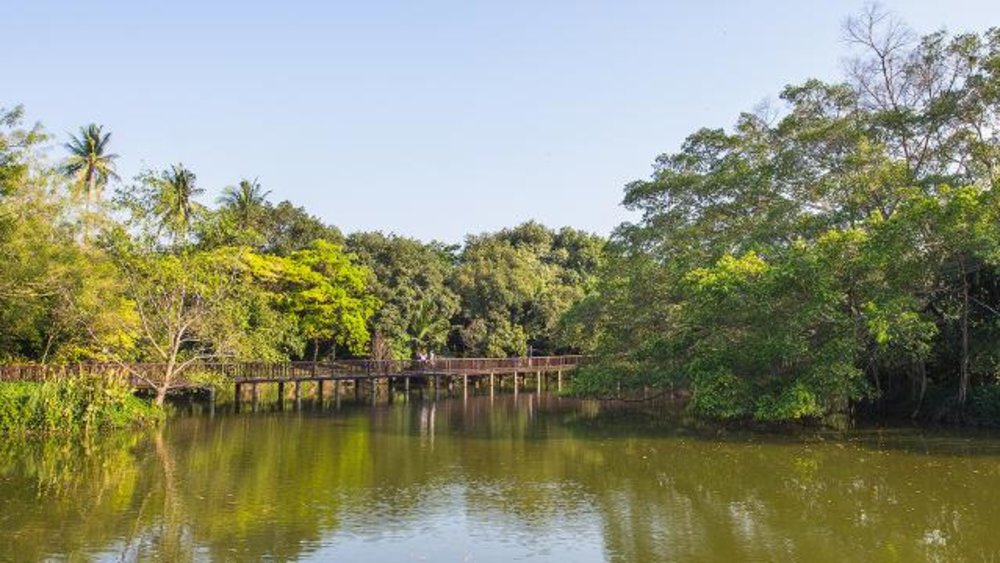 คุ้งบางกระเจ้า