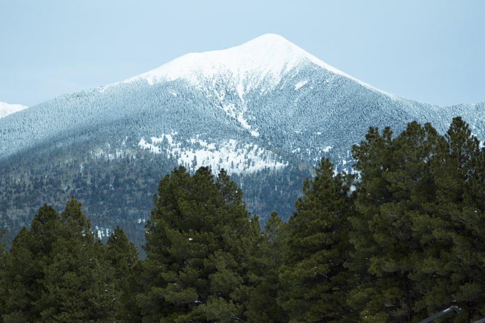 Snowy mountains and green trees