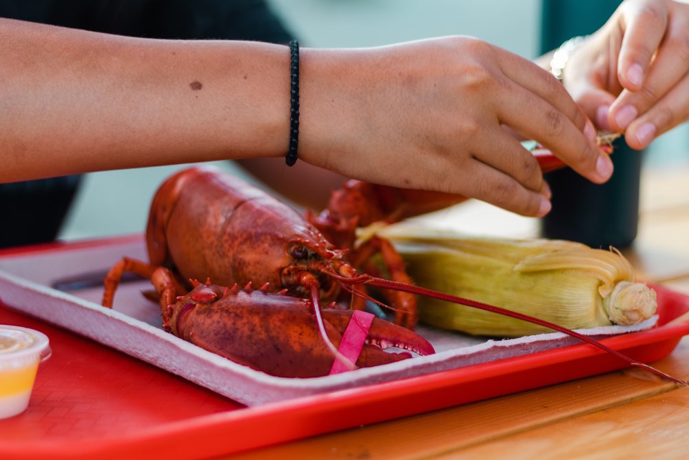 Lobster and corn on a tray