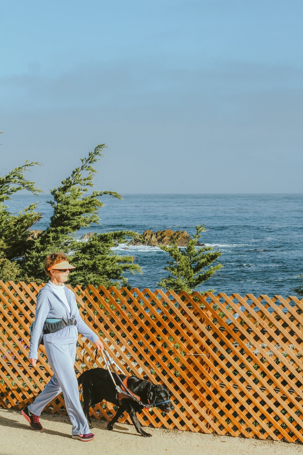 Lady walking with her dog by the beach