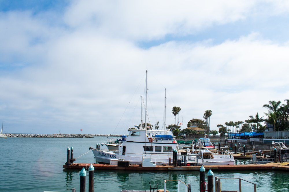 14 Places to Visit During Your Los Angeles to San Diego Road Trip ...