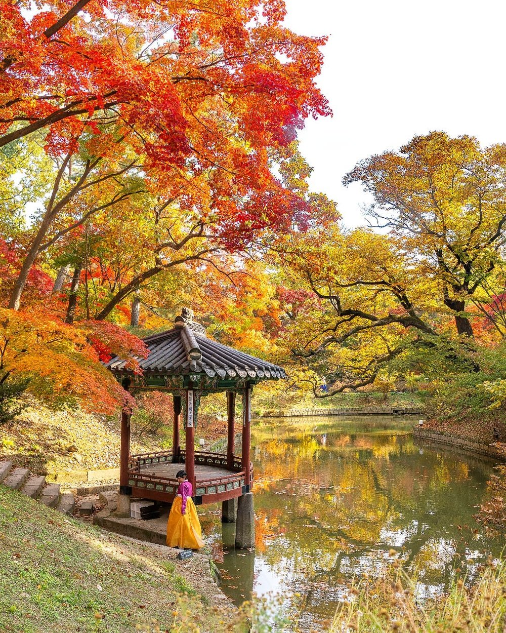 Where to see autumn leaves in korea 2022