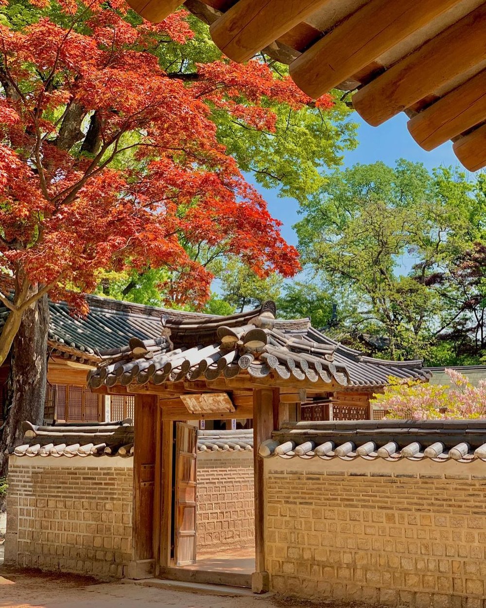 Where to see autumn leaves in Korea 2022