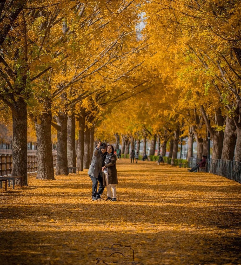 best places to see autumn leaves in korea