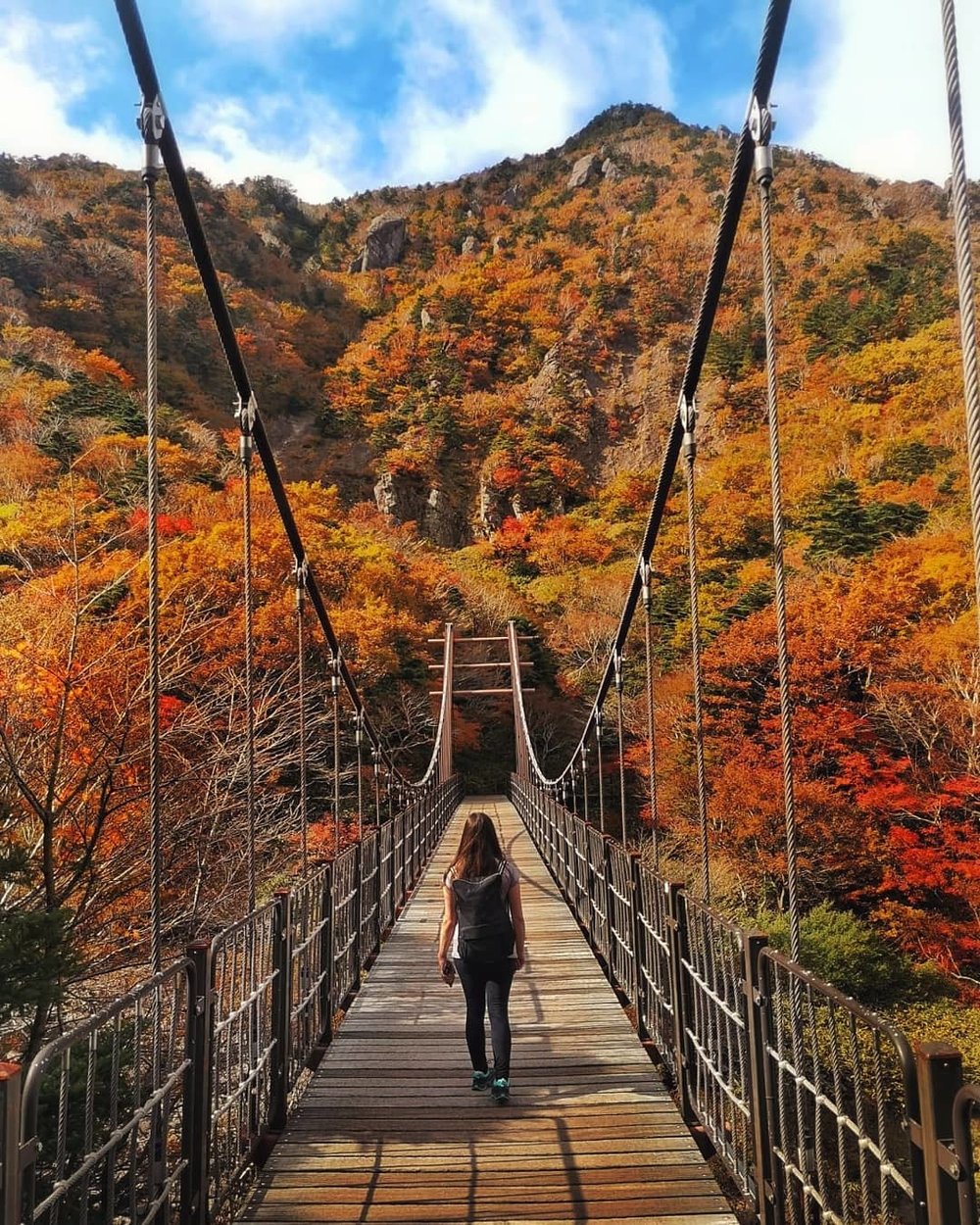 where to see autumn leaves in korea