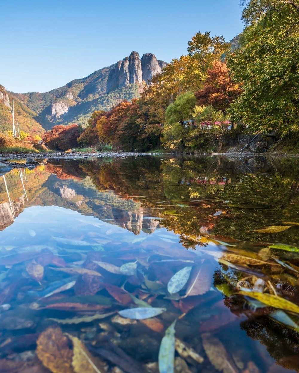 Where to see autumn leaves in korea