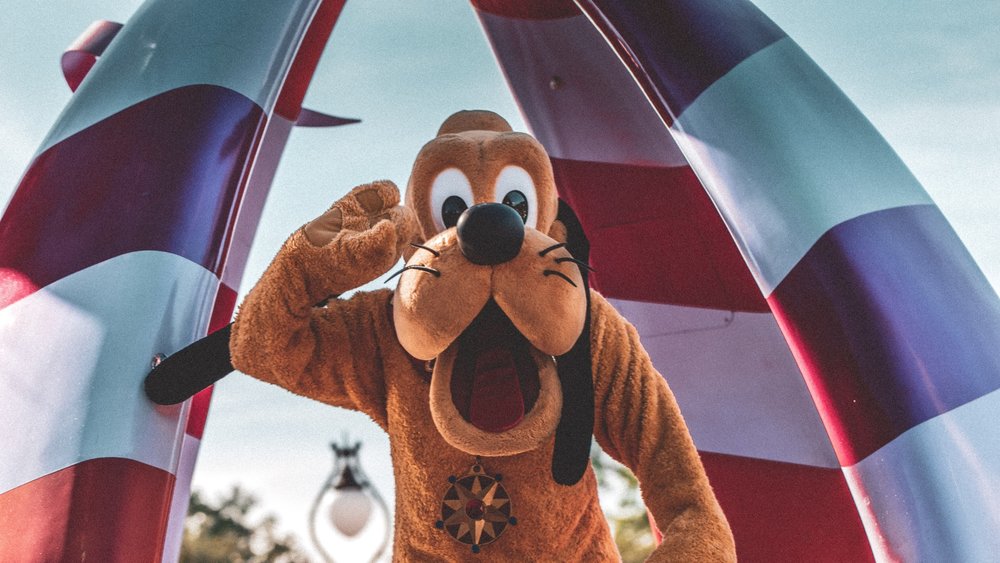 Walt Disney World in Orlando, Florida, is the biggest theme park in the world!