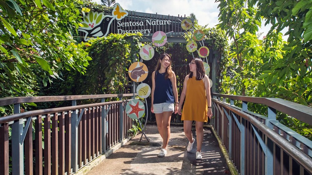 Two girls looking at each other while walking