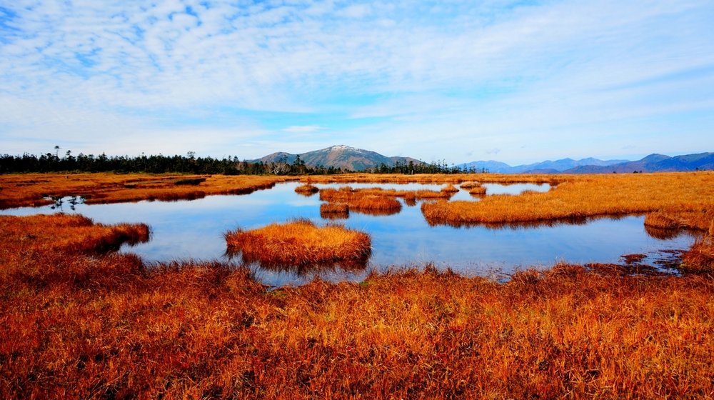 尾瀬(尾瀬ヶ原 - 群馬) Oze (Gunma)