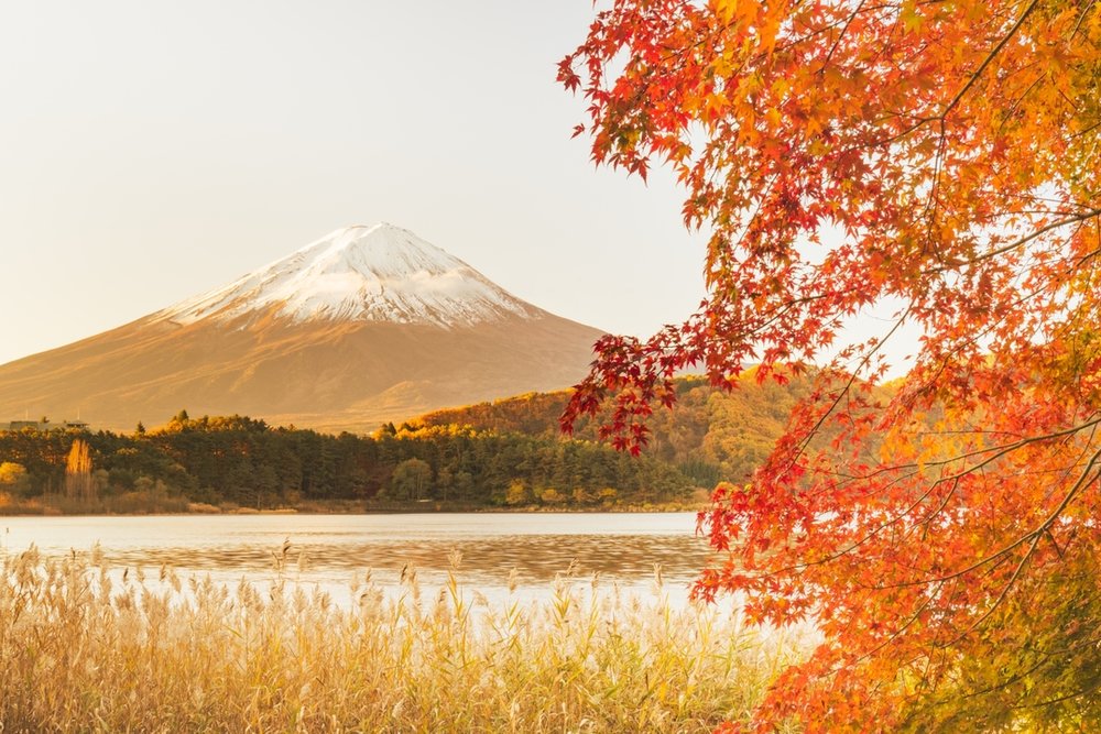 河口湖（山梨）富士山