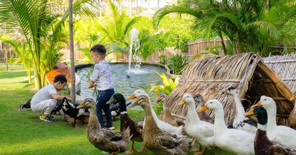 Fusion Resort Cam Ranh