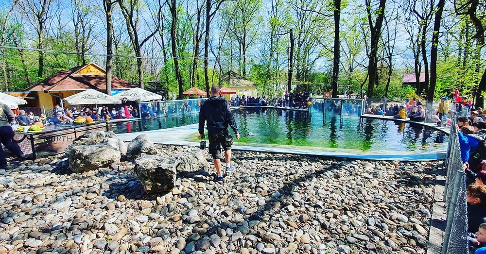 Vườn thú Szegedi Vadaspark