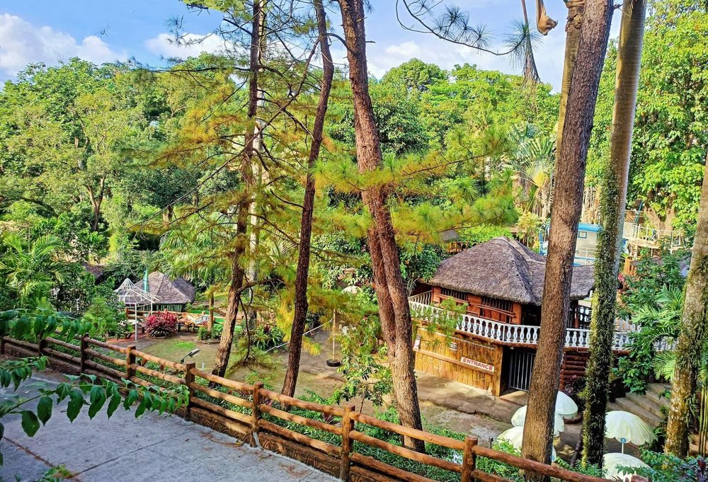 Nipa hut surrounded by big trees