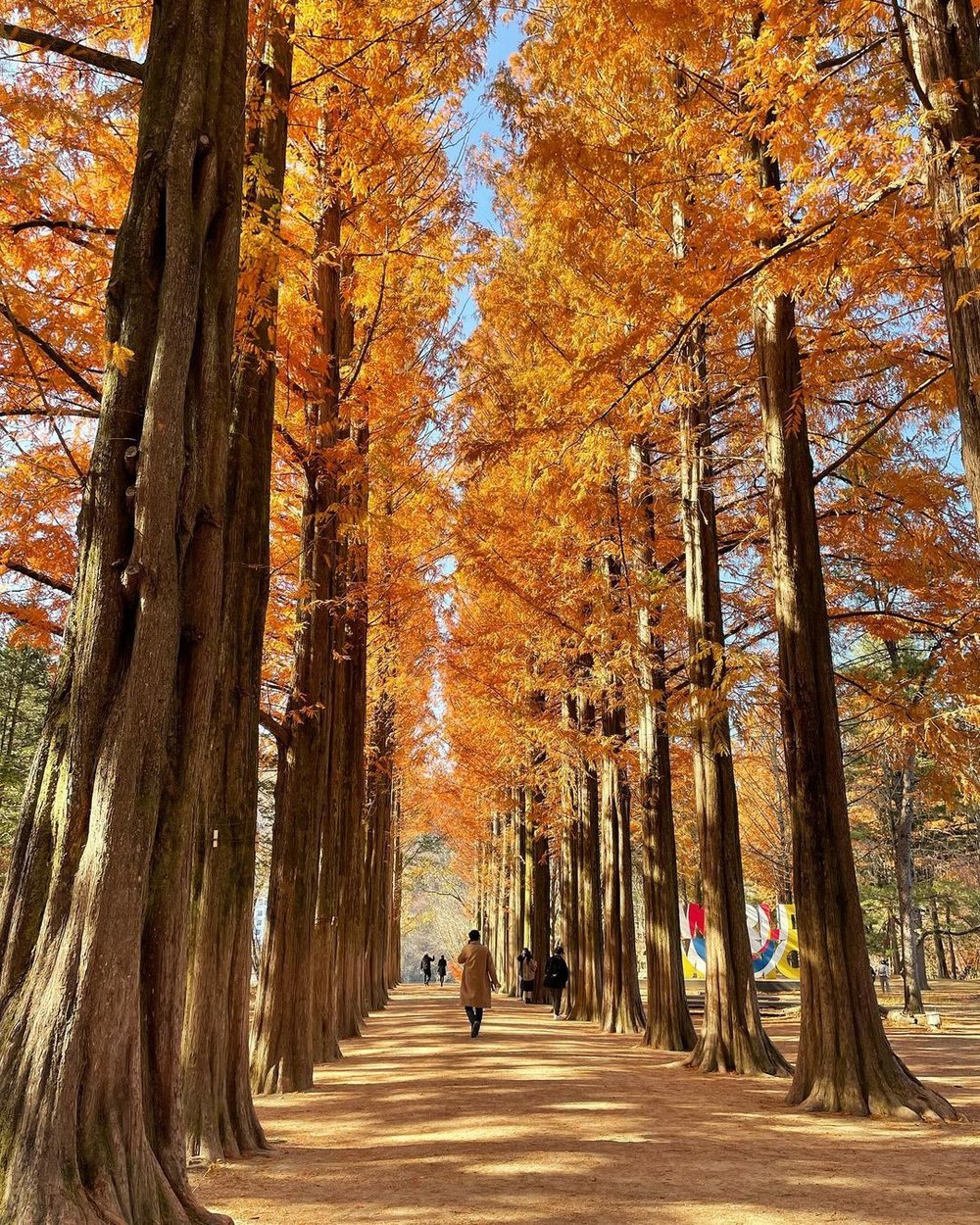 where to see autumn foliage in korea 2022