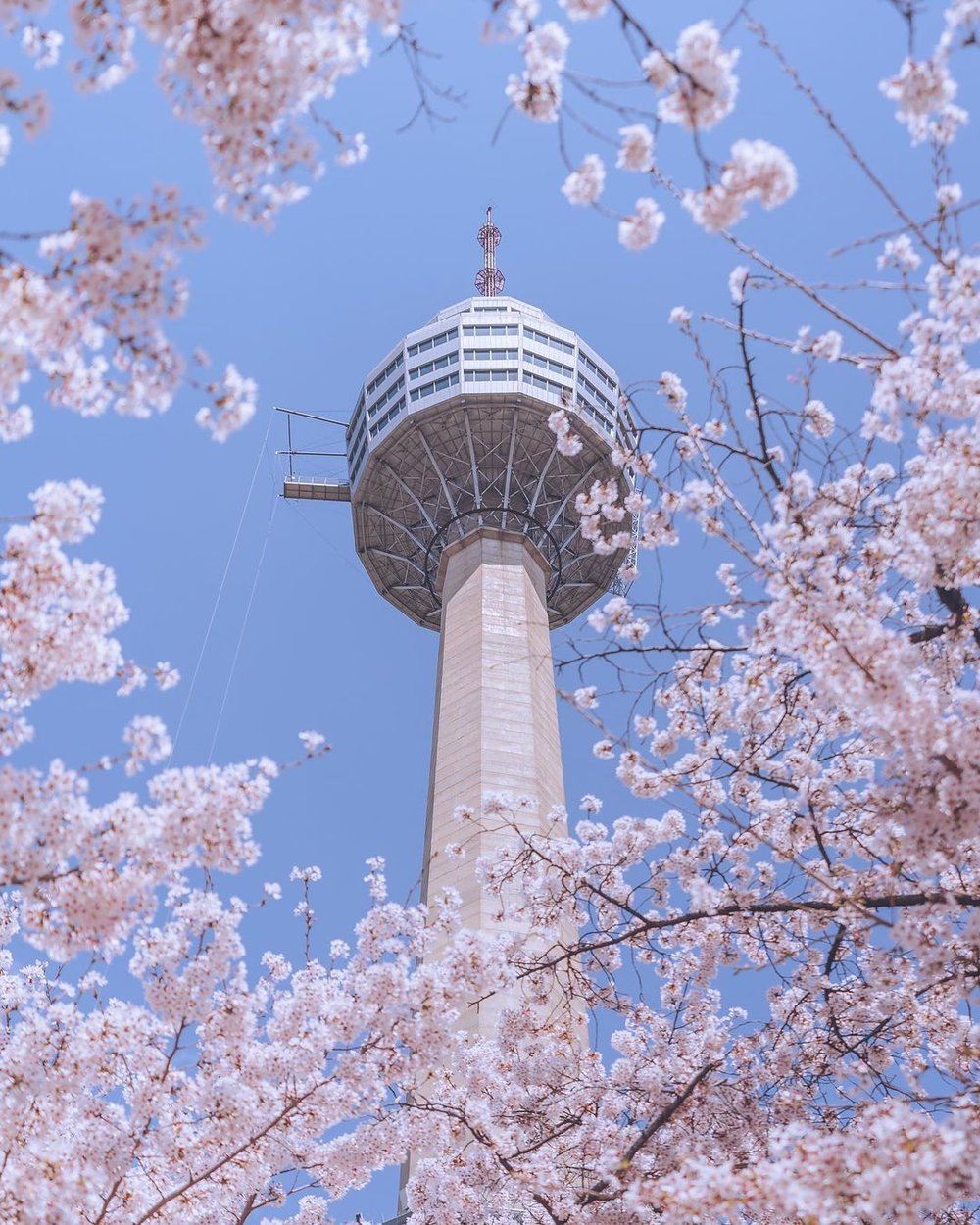 Top 10 Best Theme Parks & Water Parks In South Korea You Should Visit ...