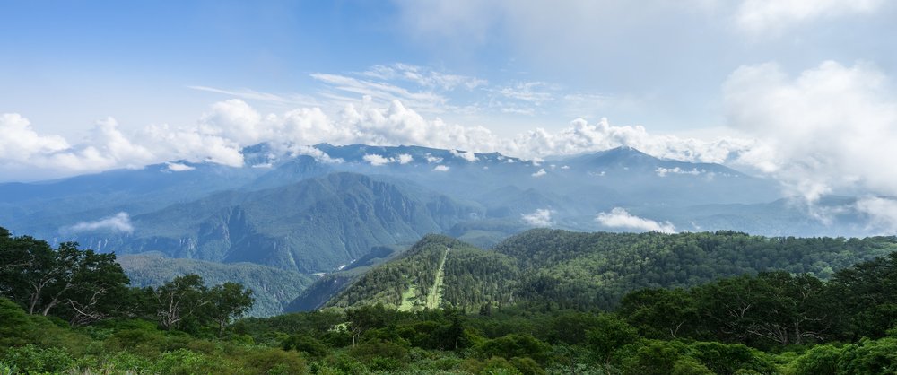 Green forests and mountains under a sea of clouds