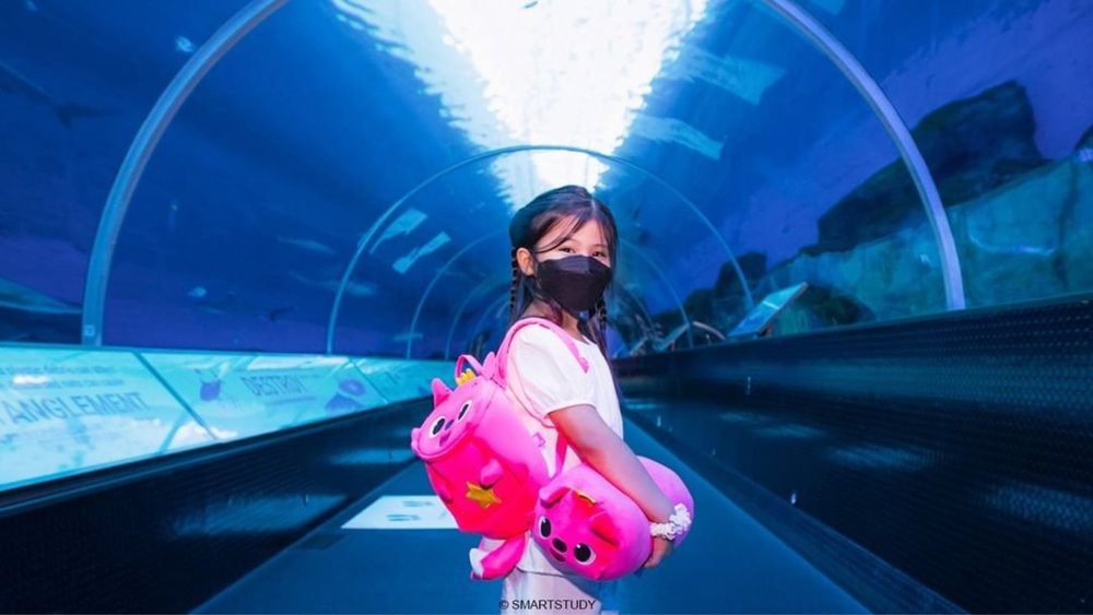 Explore the wonders of the sea. Credits to @rwsentosa