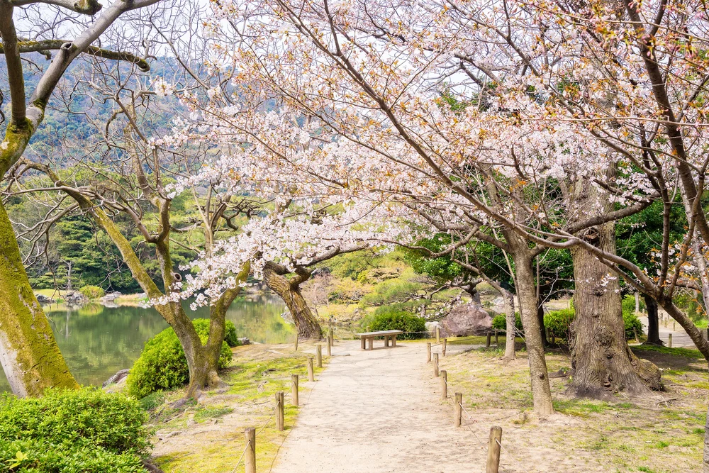 a pathway near a pond in the Ritsurin Garden