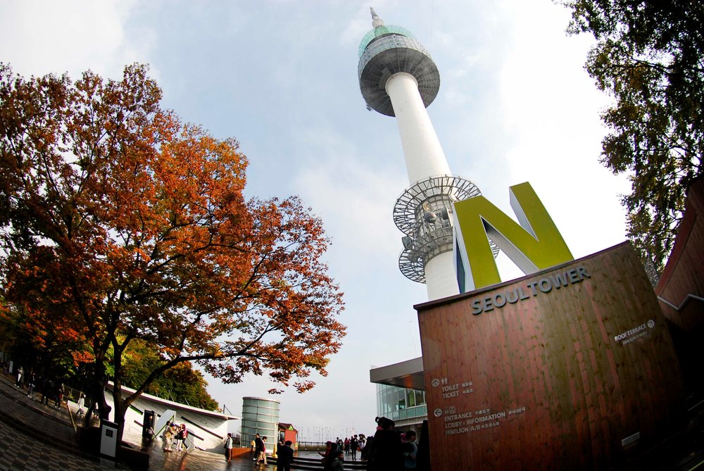 Orange trees and the N Seoul Tower photographed from outside