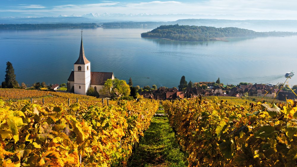 瑞士 納沙泰爾 Neuchâtel 葡萄園