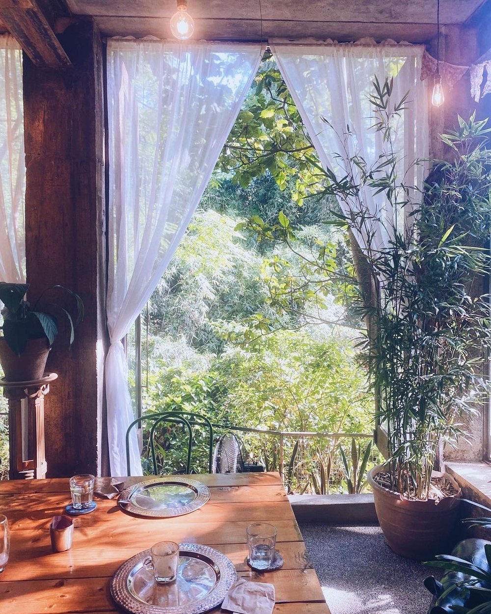 Nature view inside a cafe