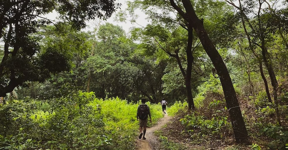 Trekking Rừng Nguyên Sinh