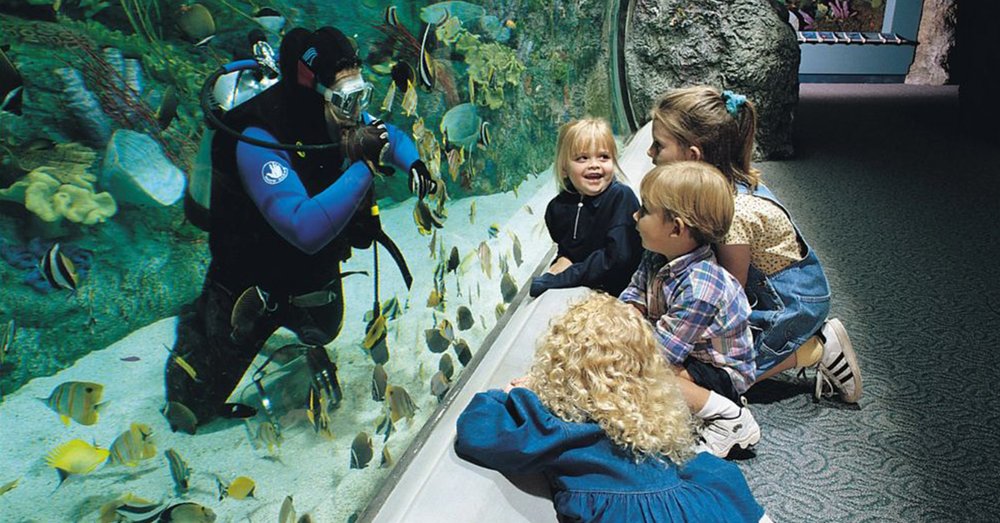 Aquarium Of The Pacific